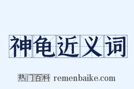 神龟近义词是什么意思的图片